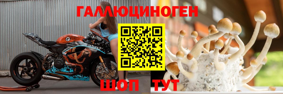Галлюциногенные грибы Psilocybine cubensis  Вход с VPN  Галлюциногенные грибы прущие грибы  Рязань 